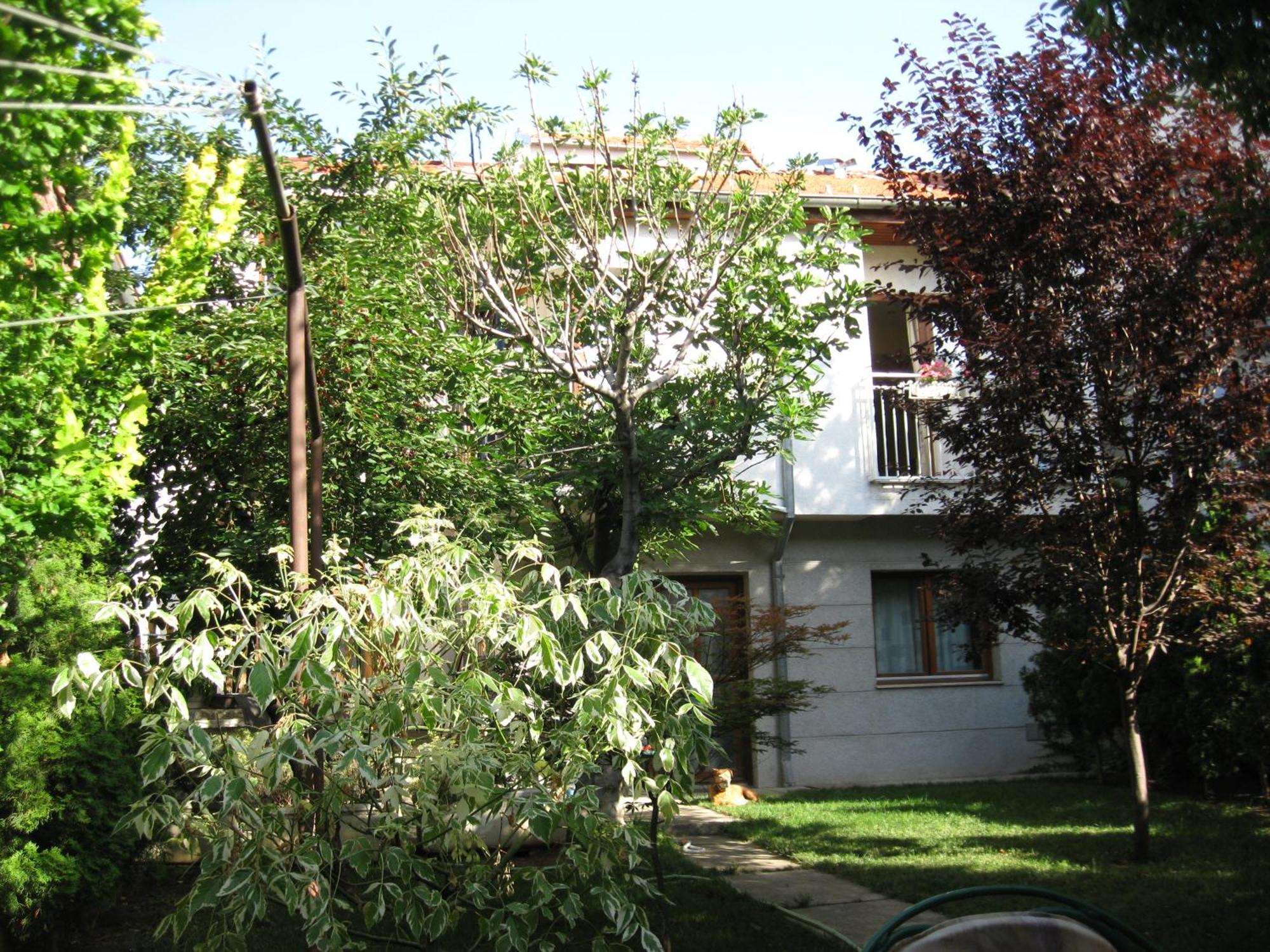Hostel Oasis Belgrado Exterior foto
